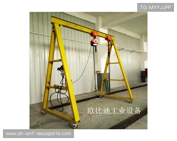 龙门架深蹲变式打造立体臀型全解析